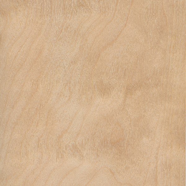 birch silver